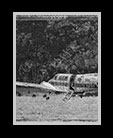 an old forgotten plane in a field of buzzards thumbnail
